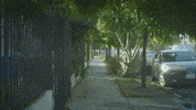 Damn Bean GIF by John-Robert