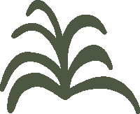 sierrafrostad art nature plant plants Sticker