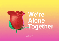 Quarantine Flirt GIF by GIPHY Cares