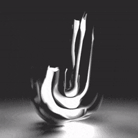 typography type GIF by Shurly