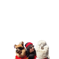 Blog New Post Sticker by TstoriesbyMariaKofou