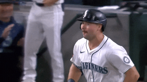 Home Run Sport GIF by MLB