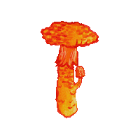 Fungus Toadstool Sticker