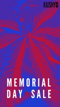 Memorial Day GIF by Kushy Dreams