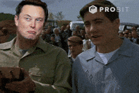 Elon Musk Crypto GIF by ProBit Global