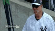 happy smile GIF by MLB