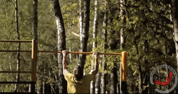 bodybuilding-and-fitness giphyupload GIF