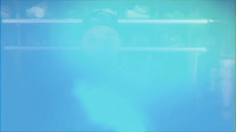 baseball wave GIF by GreenWave