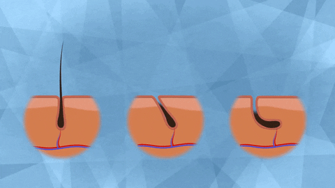 hair genetics GIF by PBS Digital Studios