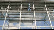 Happy Big Bash League GIF by Brisbane Heat