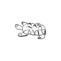 8winterlee animal turtle 동물 거북이 Sticker