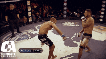 drunk mixed martial arts GIF by CombateAmericas