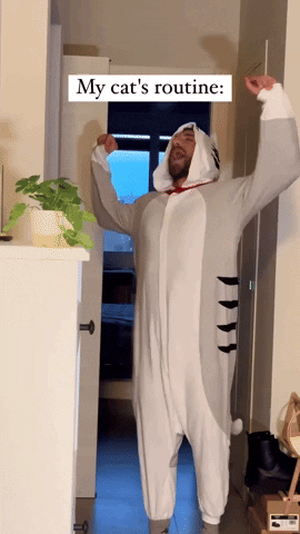 cuteanimalland giphyupload GIF