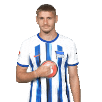 Football Bundesliga Sticker by Hertha BSC