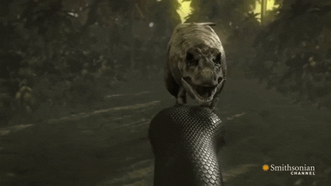asudeasar giphygifmaker GIF