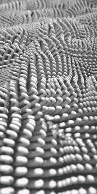 dance dancing GIF by Blobby Barack