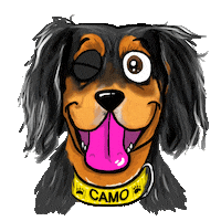 Dog Wink Sticker