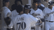 celebration regularseason GIF by MLB
