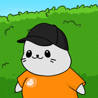 Scared Fun GIF by Sappy Seals Community