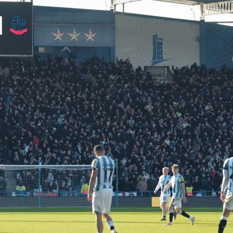 Goal Fans GIF by Bolton Wanderers FC