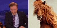 horse conan obrien GIF by Team Coco