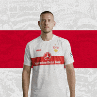 Waldemar Anton Mic Drop GIF by VfB Stuttgart