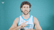 Hive Mentality Vasa Micic GIF by Charlotte Hornets