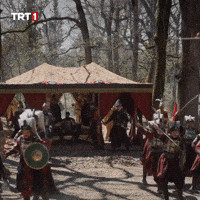 Ani Ottoman GIF by TRT