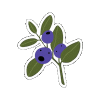 CityofMoscow huckleberries veggie crew veggiecrew Sticker