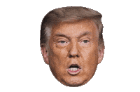 United States Trump Sticker by Marcel Katz / The Art Plug