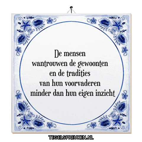 Wijsheid Reflectie Sticker by Tegelspreuken.nl