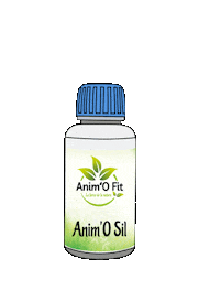 Cat Dog Sticker by Anim'O Fit