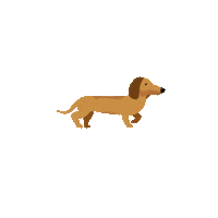 Cat Dog Sticker by Dogman