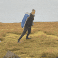 jordtually ireland hurricane windy blown away GIF