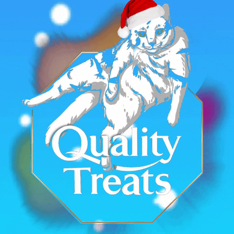 Cat Christmas GIF by Quality Treats Australia