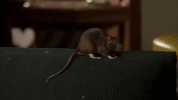 season 4 episode 13 GIF by Workaholics