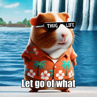 Wisdom Release GIF by Guinea Gambino