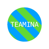 teamina_game cardgame teamina teaminalogo Sticker