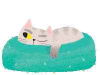 Cat Watching Sticker by Flying Eye Books