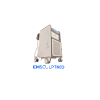 btlnet btl emsculpt emsculpt neo Sticker