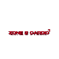 Arrow Cardio Sticker by Elev8