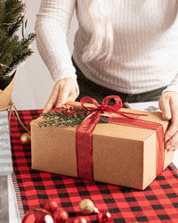 spreadthelovefoodsla gift opening unboxing pbj GIF