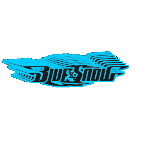 Blueandsnow Sticker by SNSI Japan