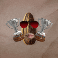 happy celebration GIF