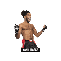 Mixed Martial Arts Mma Sticker by BRAVE Combat Federation
