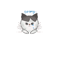 Cat Crying Sticker