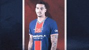 France Yes GIF by Paris Saint-Germain Handball