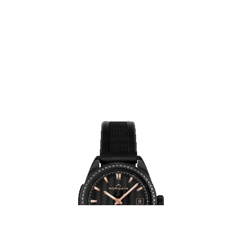 norqainwatches giphygifmaker diamond watches norqain Sticker