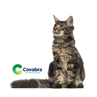 Covabra Petestar Pet Sticker by Covabra Supermercados