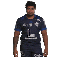 ColomiersRugby colomiersrugby Sticker